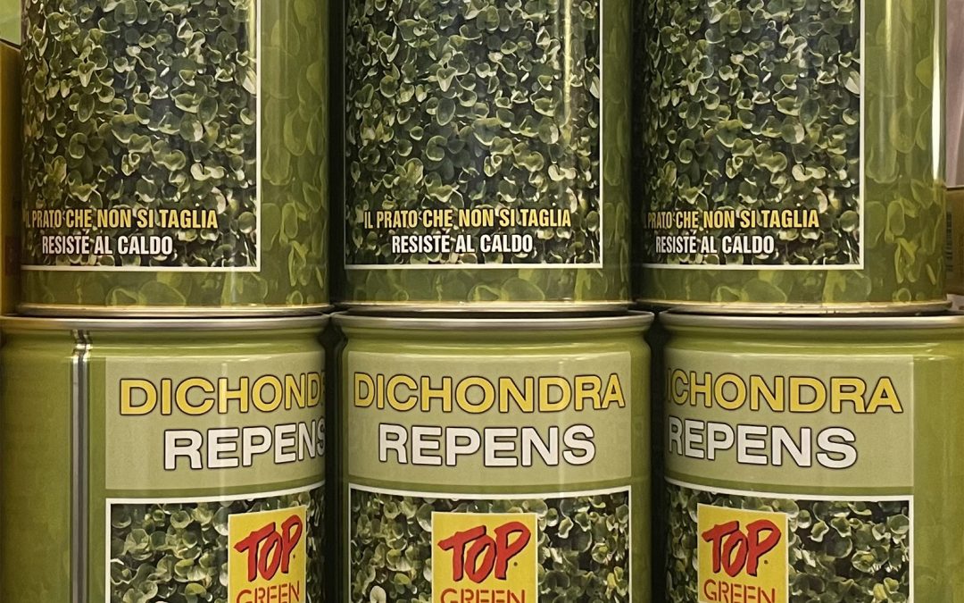 Bulbi, semi e ortaggi 12