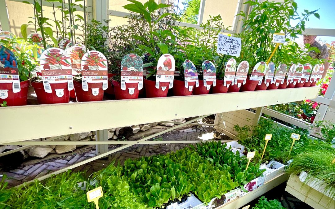 Bulbi, semi e ortaggi 14