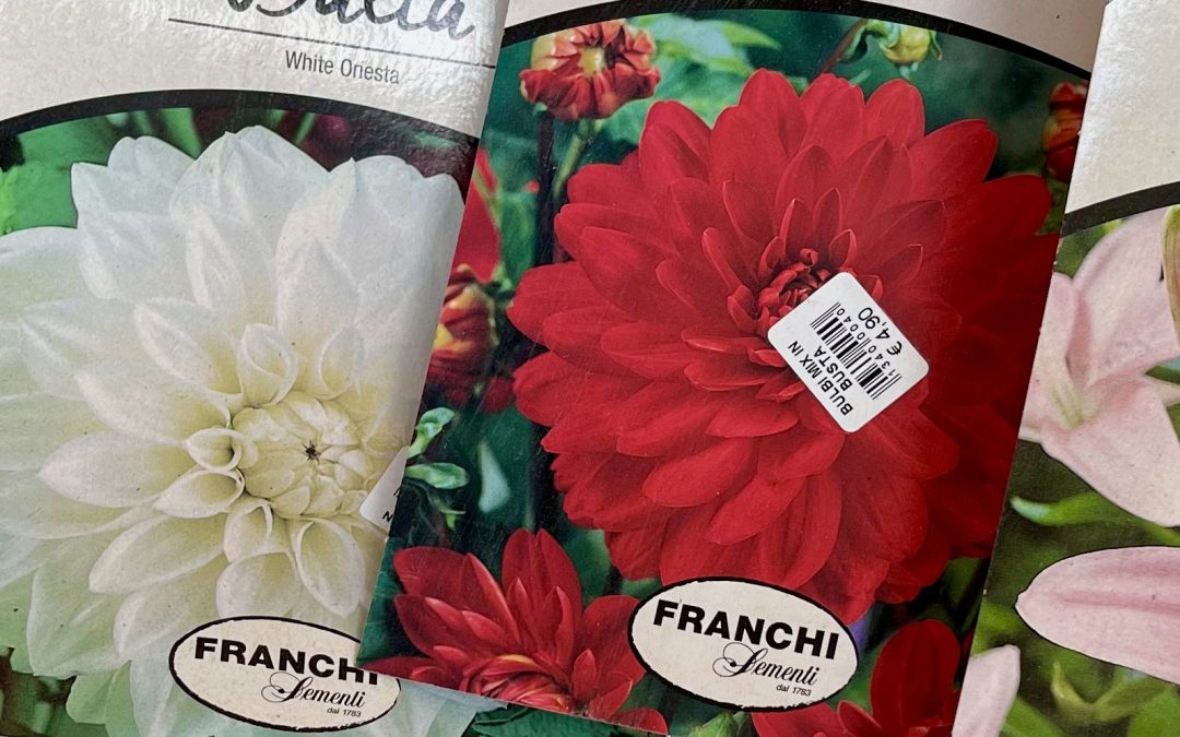 Bulbi, semi e ortaggi 05