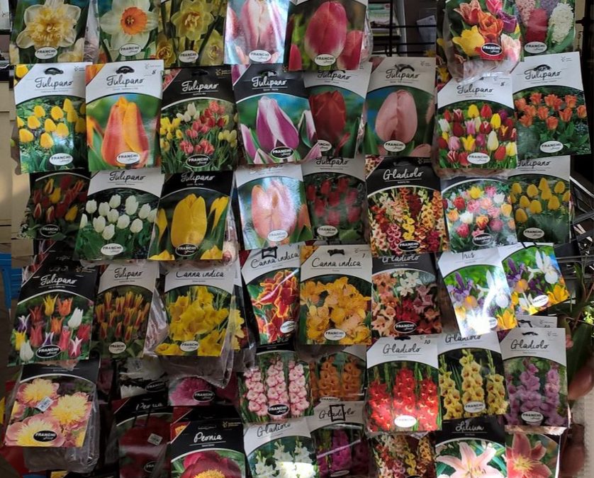 Bulbi, semi e ortaggi 06