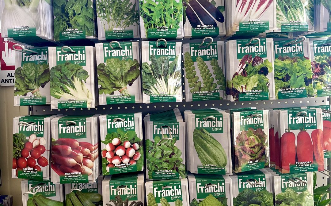 Bulbi, semi e ortaggi 07