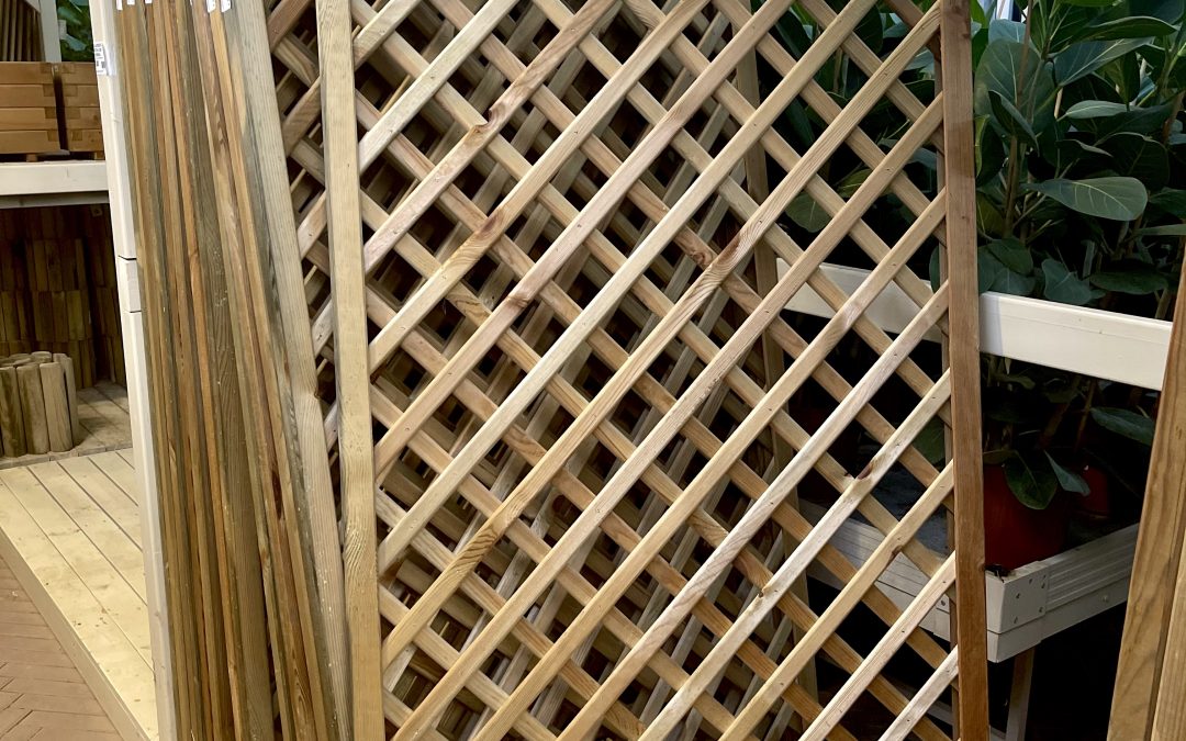 Strutture in legno 07