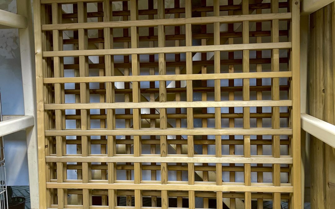 Strutture in legno 08