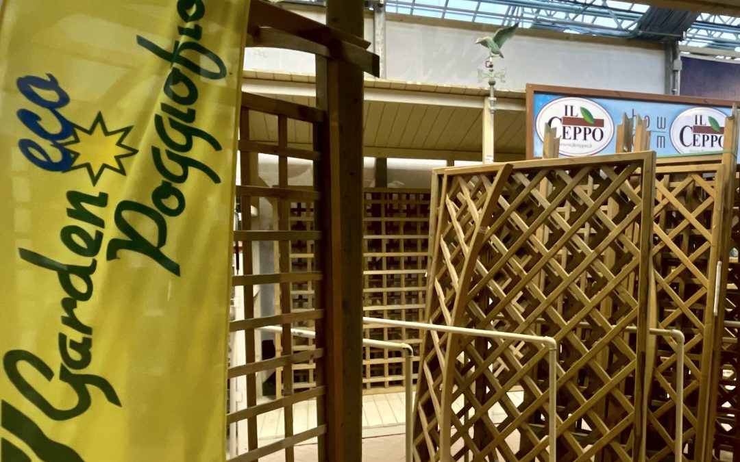 Strutture in legno 01