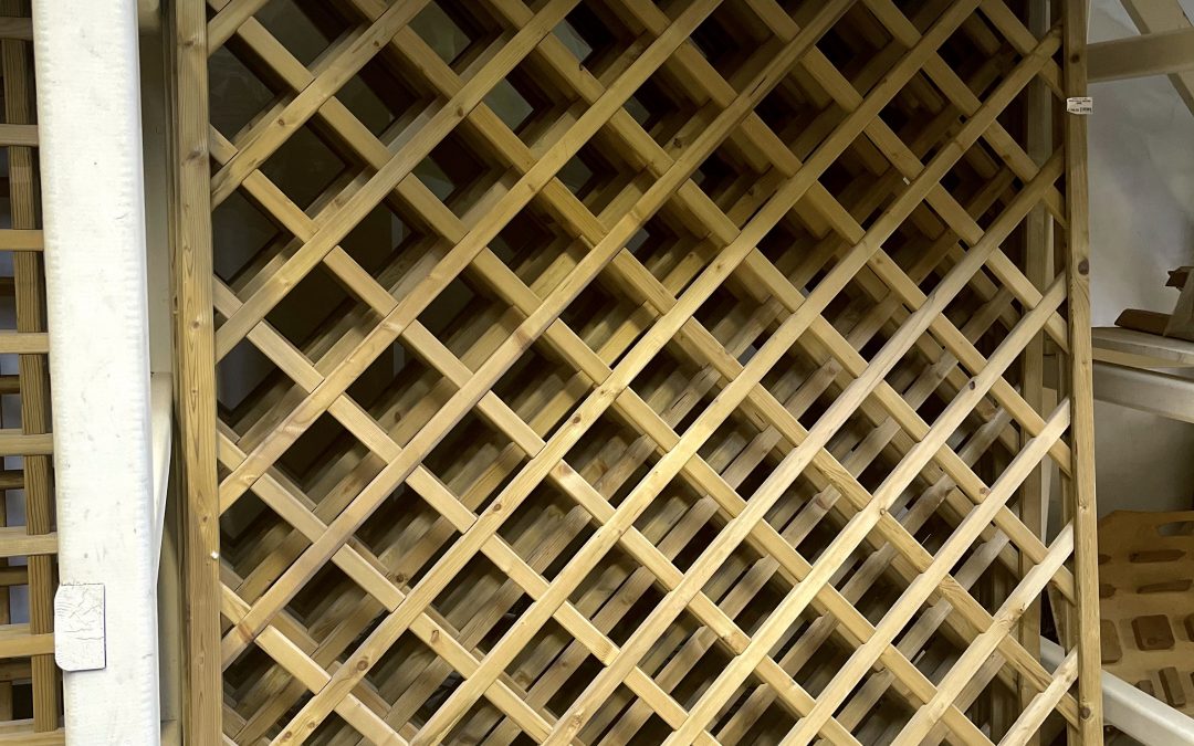 Strutture in legno 09